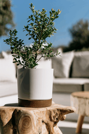 Doniczka Tubo PM różne kolory i rozmiary