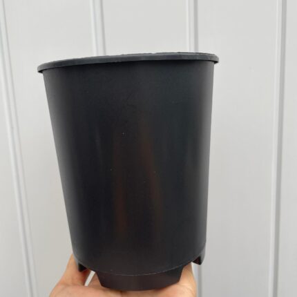 Doniczka produkcyjna głęboka ( na róże )