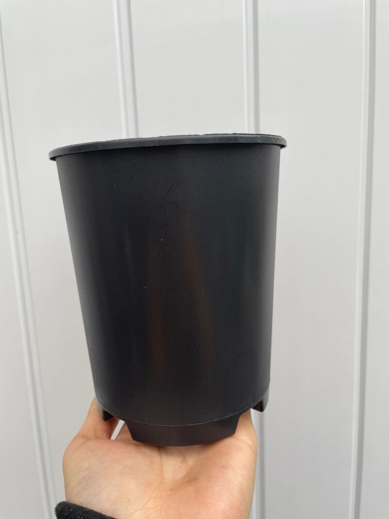 Doniczka produkcyjna głęboka ( na róże )