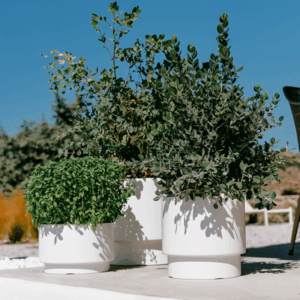 Doniczka Heos  różne kolory i rozmiary!