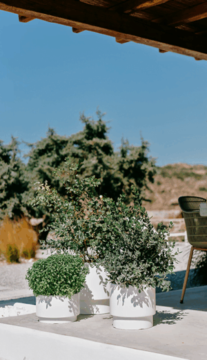 Doniczka Heos  różne kolory i rozmiary!