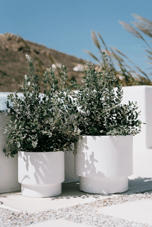 Doniczka Heos  różne kolory i rozmiary!