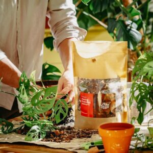 Podłoże Do Monstery, Filodendrona, Alokazji, Bigos, Ziemia Urban Jungle