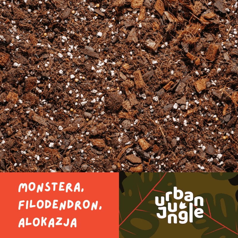 Podłoże Do Monstery, Filodendrona, Alokazji, Bigos, Ziemia Urban Jungle