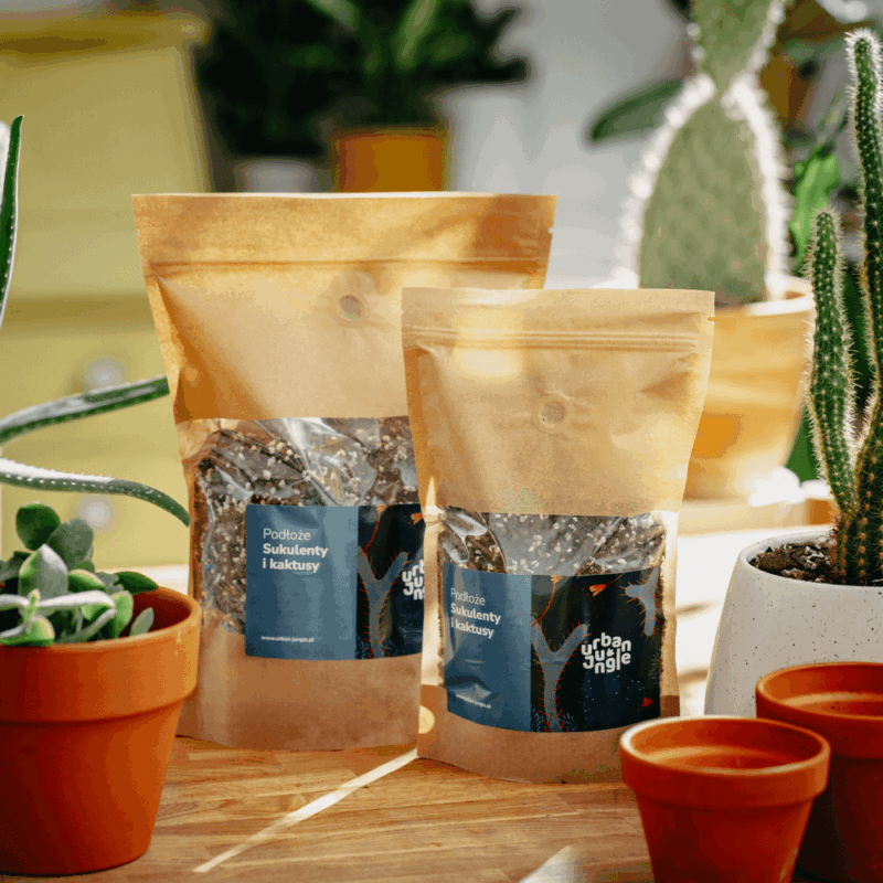 Podłoże Do Sukulentów i Kaktusów, Bigos, Ziemia Urban Jungle