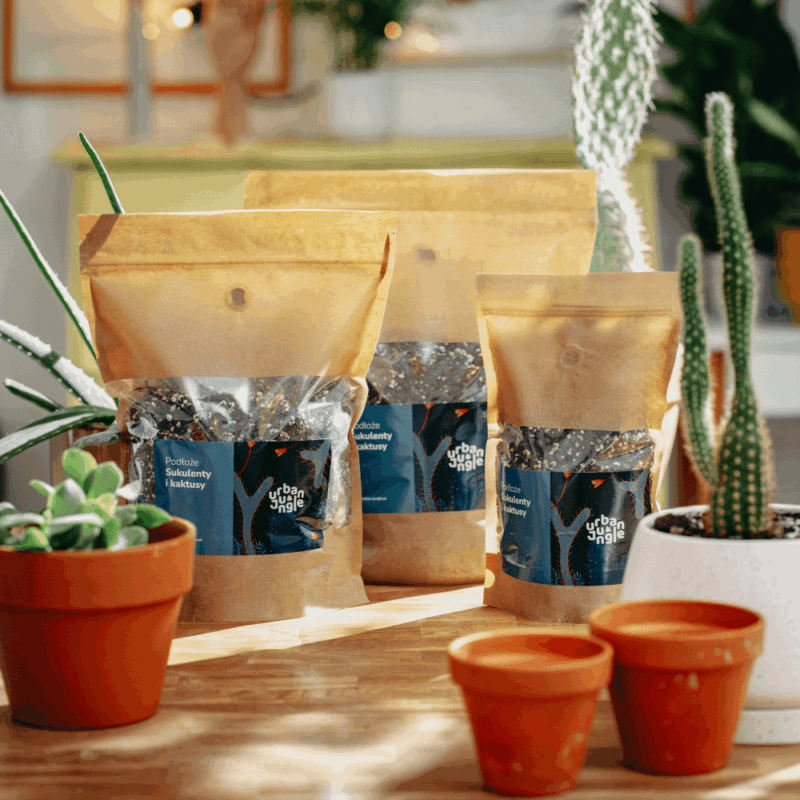 Podłoże Do Sukulentów i Kaktusów, Bigos, Ziemia Urban Jungle