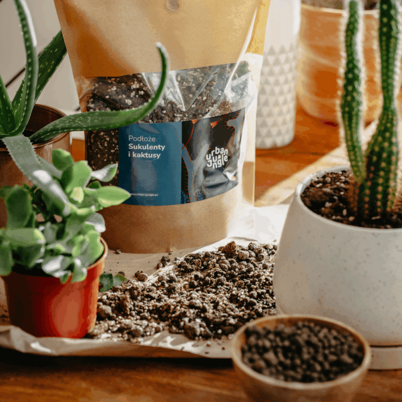 Podłoże Do Sukulentów i Kaktusów, Bigos, Ziemia Urban Jungle