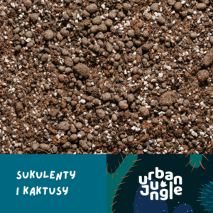 Podłoże Do Sukulentów i Kaktusów, Bigos, Ziemia Urban Jungle