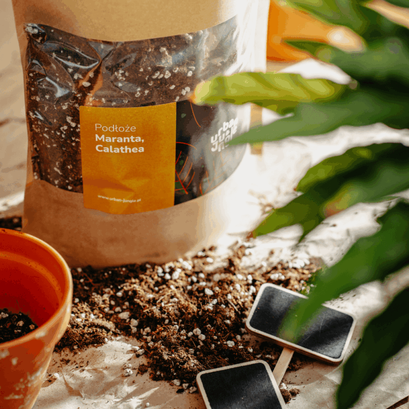 Podłoże Do Maranty, Calathea, Bigos, Ziemia Urban Jungle