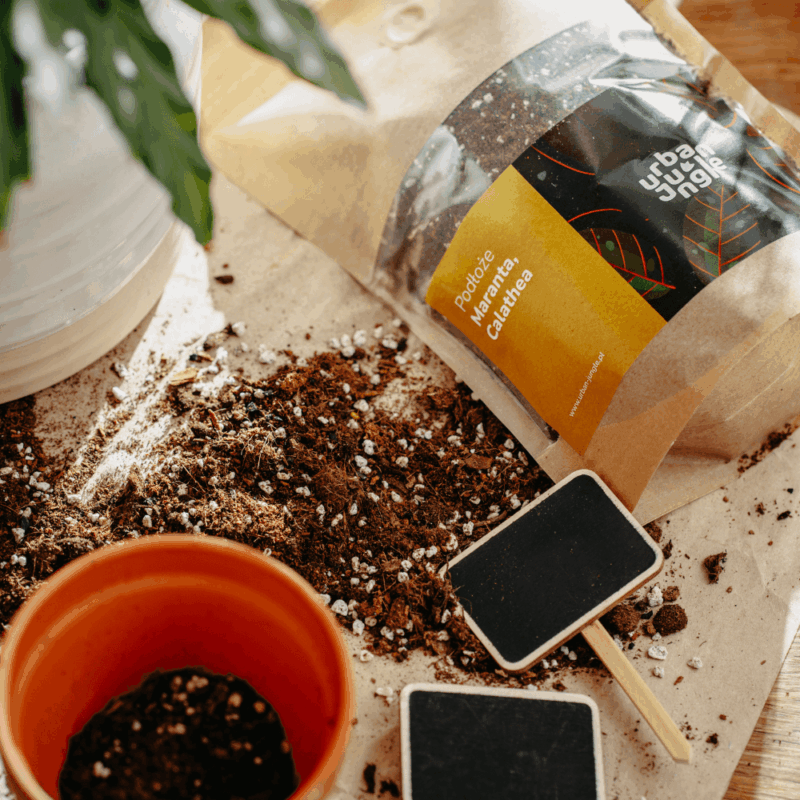 Podłoże Do Maranty, Calathea, Bigos, Ziemia Urban Jungle