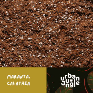 Podłoże Do Maranty, Calathea, Bigos, Ziemia Urban Jungle