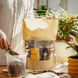 Podłoże Do Maranty, Calathea, Bigos, Ziemia Urban Jungle