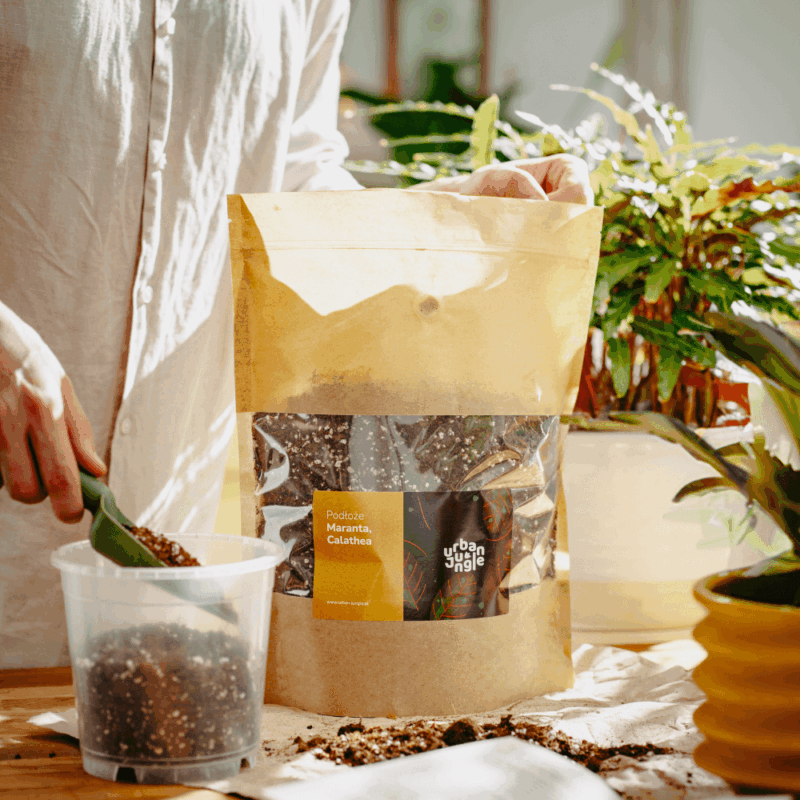 Podłoże Do Maranty, Calathea, Bigos, Ziemia Urban Jungle