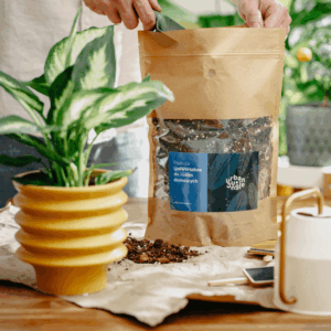 Podłoże Uniwersalne Do Roślin Domowych, Bigos, Ziemia Urban Jungle