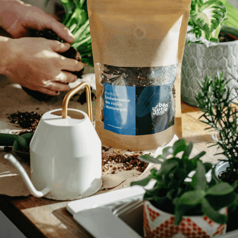 Podłoże Uniwersalne Do Roślin Domowych, Bigos, Ziemia Urban Jungle