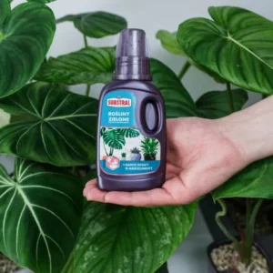 SUBSTRAL Nawóz w płynie do roślin zielonych 250ml