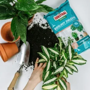 SUBSTRAL Podłoże do roślin zielonych 3L