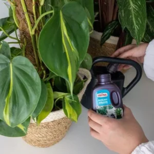 SUBSTRAL Nawóz w płynie do roślin zielonych 250ml