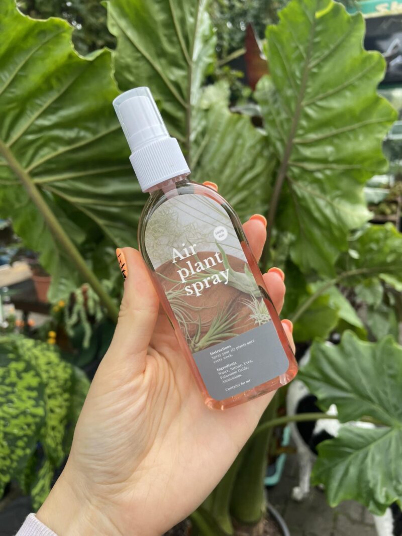 Spray nawóz dla oplątwy