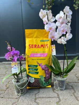 Podłoże seramis do storczyków 7L