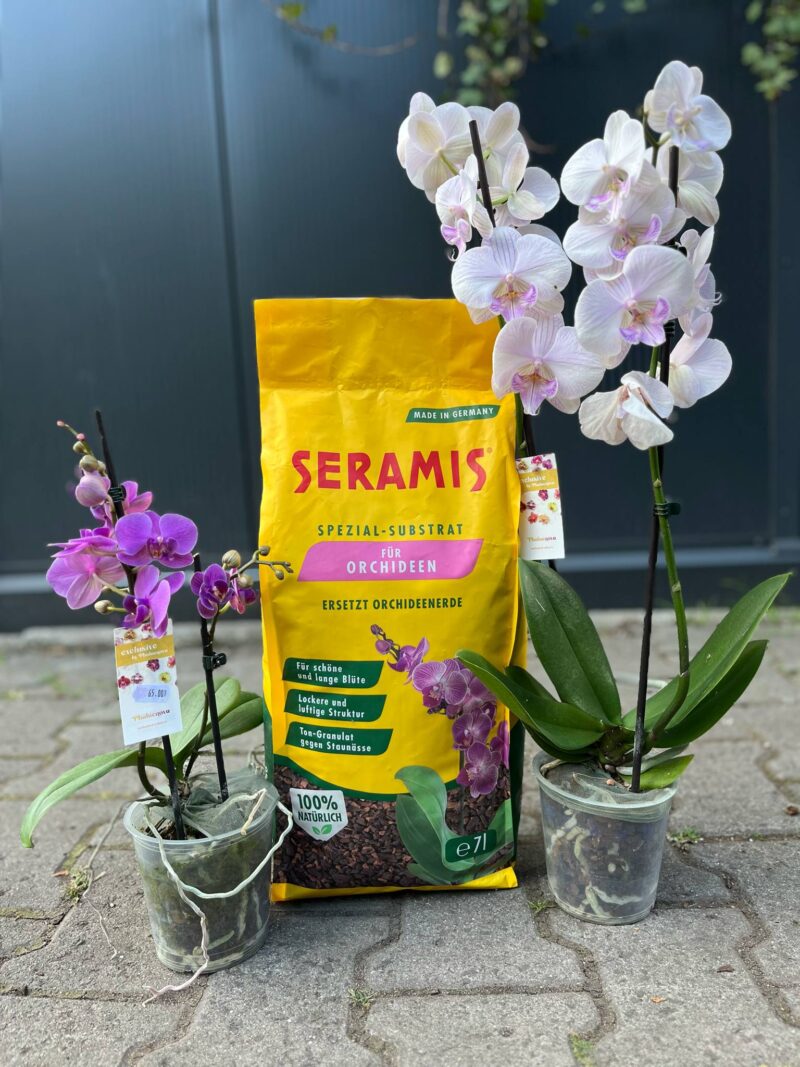 Podłoże seramis do storczyków 7L