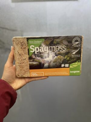 Mech Besgrow Spagmoss  Nowozelandzki Torfowiec