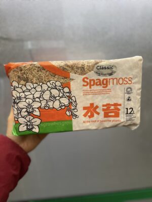 Mech Besgrow Spagmoss  Nowozelandzki Torfowiec