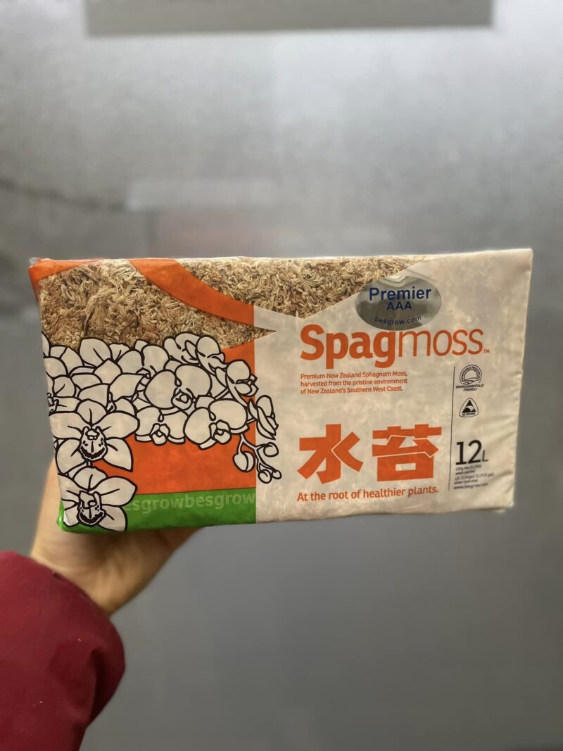 Mech Besgrow Spagmoss  Nowozelandzki Torfowiec