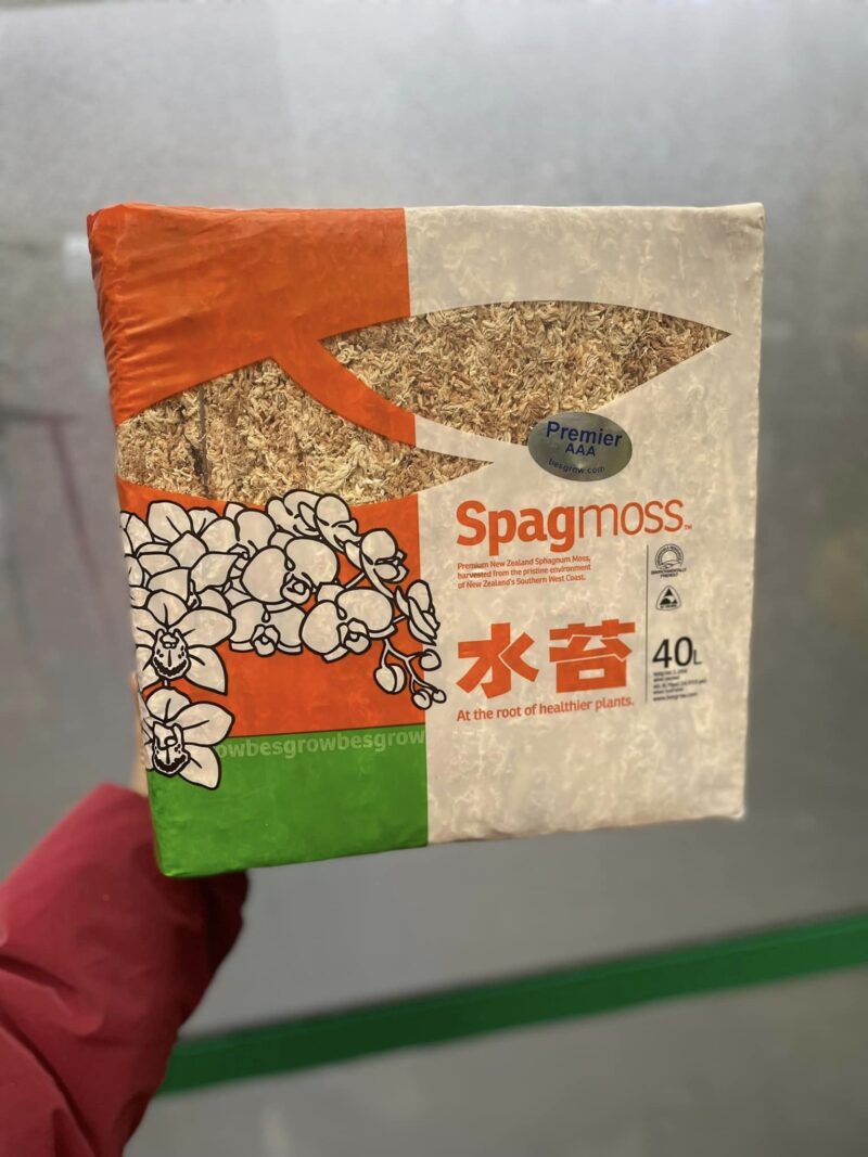 Mech Besgrow Spagmoss  Nowozelandzki Torfowiec