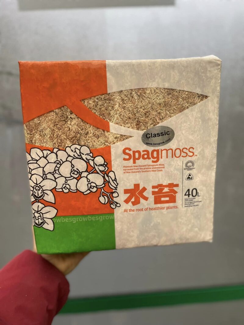 Mech Besgrow Spagmoss  Nowozelandzki Torfowiec