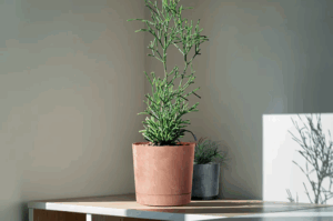 Doniczka Tubo P Beton Effect