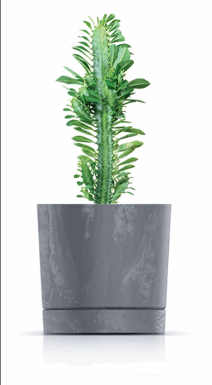 Doniczka Tubo P Beton Effect