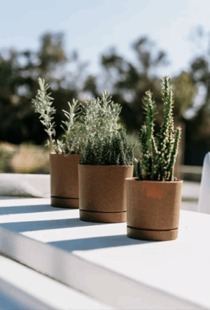 Doniczka Tubo P ECO Wood