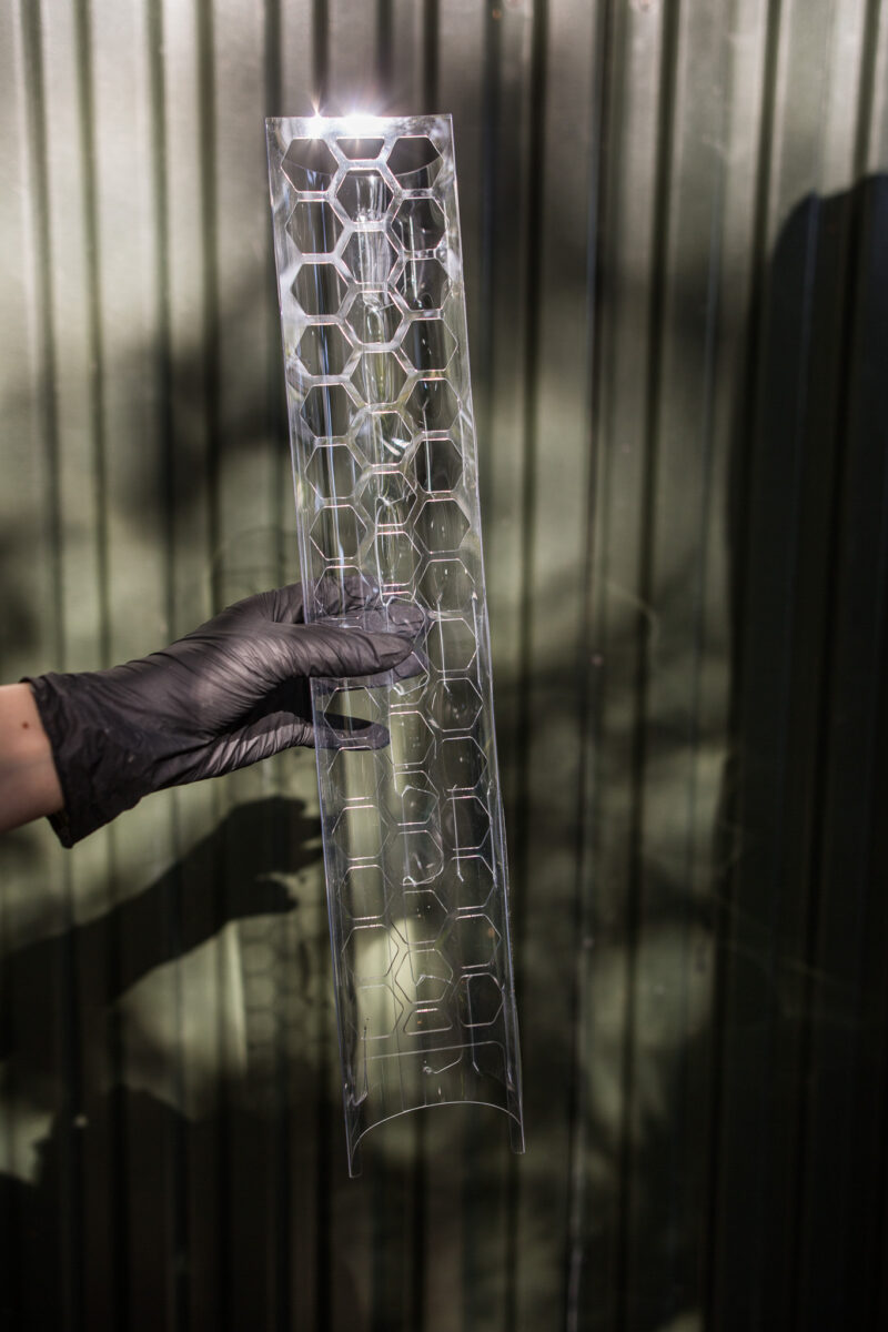 Palik do wypełnienia mchem |  różne rozmiary i kolory