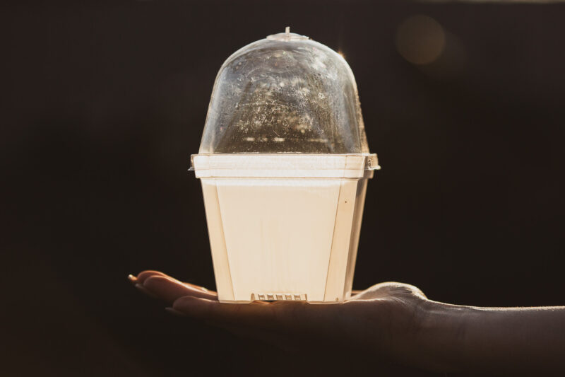 Mini szklarenka różne rozmiary !