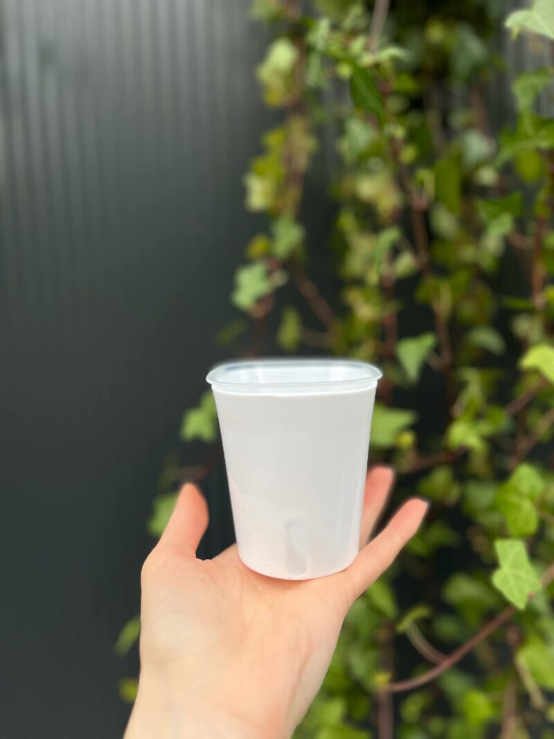 Doniczka samonawadniająca do hydroponiki z knotem | Różne rozmiary