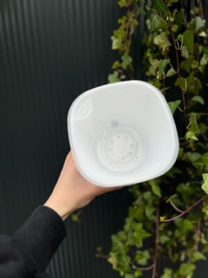 Doniczka samonawadniająca do hydroponiki z knotem | Różne rozmiary