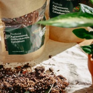 Podłoże Do Aglaonemy, Diffenbachii, Caladium, Bigos, Ziemia Urban Jungle