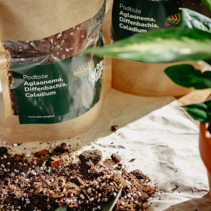 Podłoże Do Aglaonemy, Diffenbachii, Caladium, Bigos, Ziemia Urban Jungle