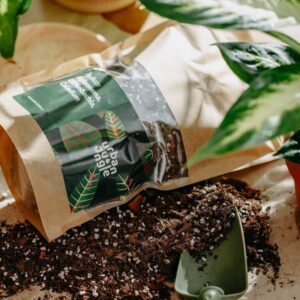 Podłoże Do Aglaonemy, Diffenbachii, Caladium, Bigos, Ziemia Urban Jungle