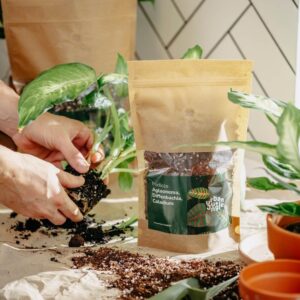 Podłoże Do Aglaonemy, Diffenbachii, Caladium, Bigos, Ziemia Urban Jungle