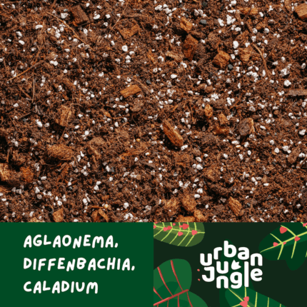Podłoże Do Aglaonemy, Diffenbachii, Caladium, Bigos, Ziemia Urban Jungle