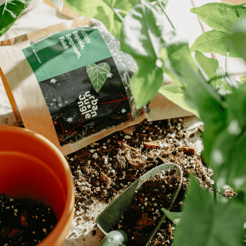 Podłoże Do Begonii, Syngonium, Fiołka, Bigos, Ziemia Urban Jungle