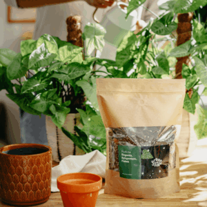 Podłoże Do Begonii, Syngonium, Fiołka, Bigos, Ziemia Urban Jungle