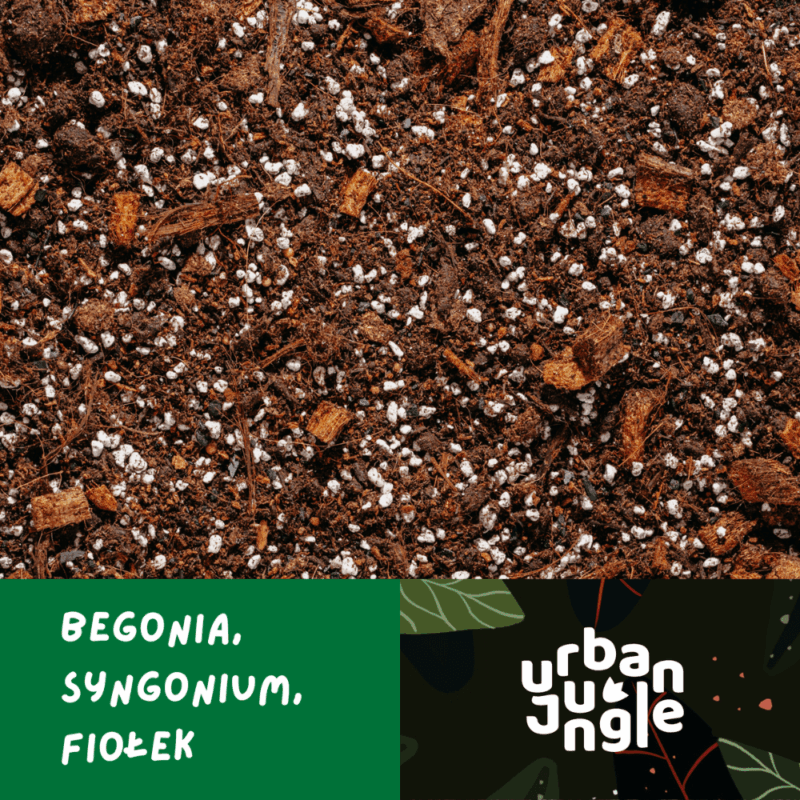 Podłoże Do Begonii, Syngonium, Fiołka, Bigos, Ziemia Urban Jungle