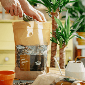 Podłoże Do Palmy, Cykasa, Juki, Draceny, Fikusa, Bigos, Ziemia Urban Jungle