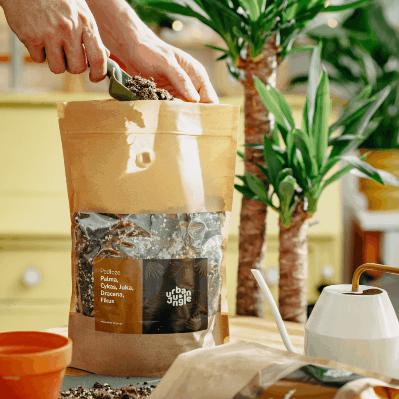 Podłoże Do Palmy, Cykasa, Juki, Draceny, Fikusa, Bigos, Ziemia Urban Jungle