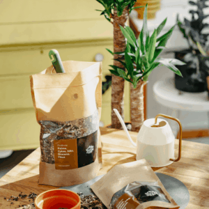 Podłoże Do Palmy, Cykasa, Juki, Draceny, Fikusa, Bigos, Ziemia Urban Jungle