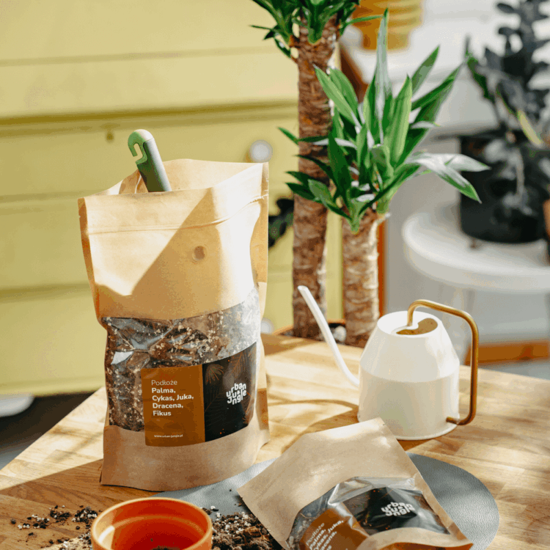 Podłoże Do Palmy, Cykasa, Juki, Draceny, Fikusa, Bigos, Ziemia Urban Jungle