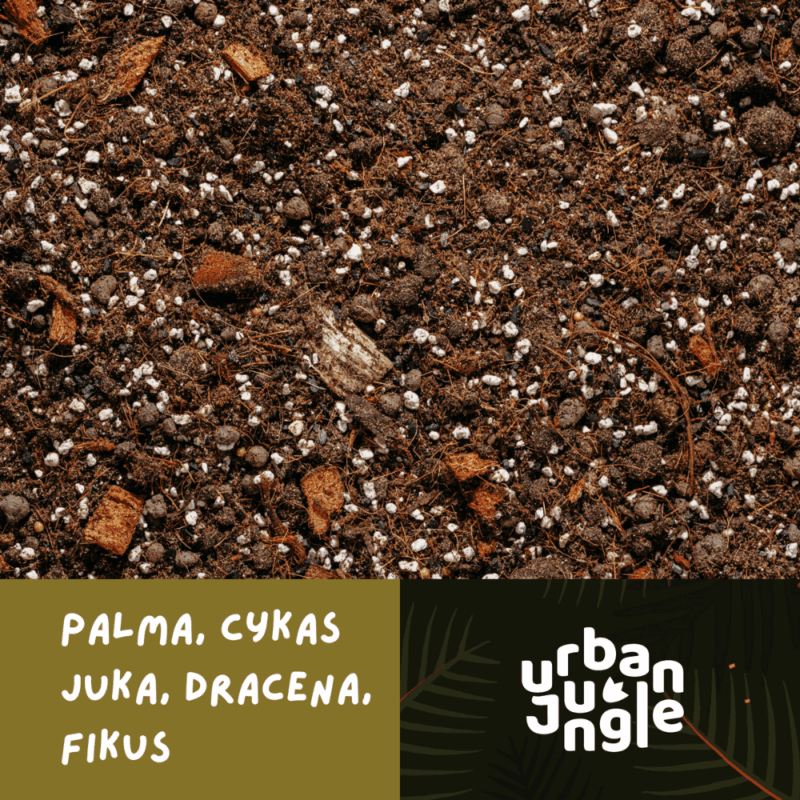 Podłoże Do Palmy, Cykasa, Juki, Draceny, Fikusa, Bigos, Ziemia Urban Jungle